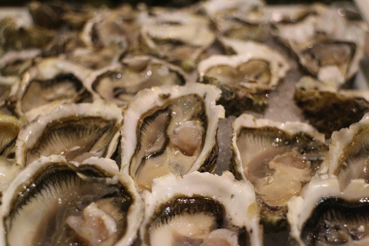 Kenzi Club Agdal Medina Hotel Lahebichate Kültér fotó Oysters